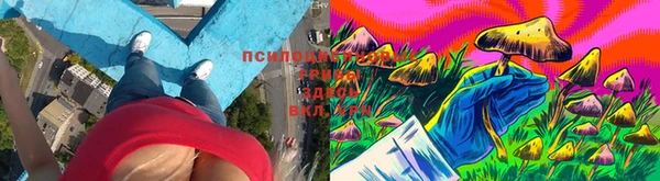 МДПВ Алзамай