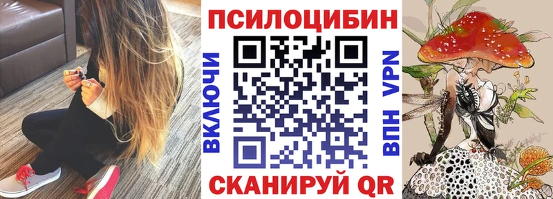 как найти закладки  Алзамай  Псилоцибиновые грибы MAGIC MUSHROOMS 